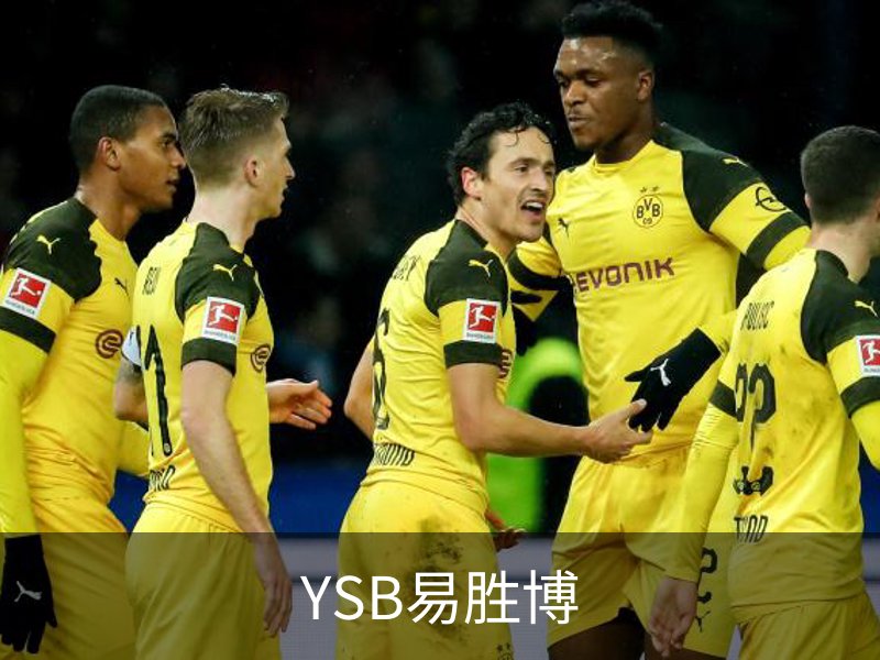 走进YSB易胜博